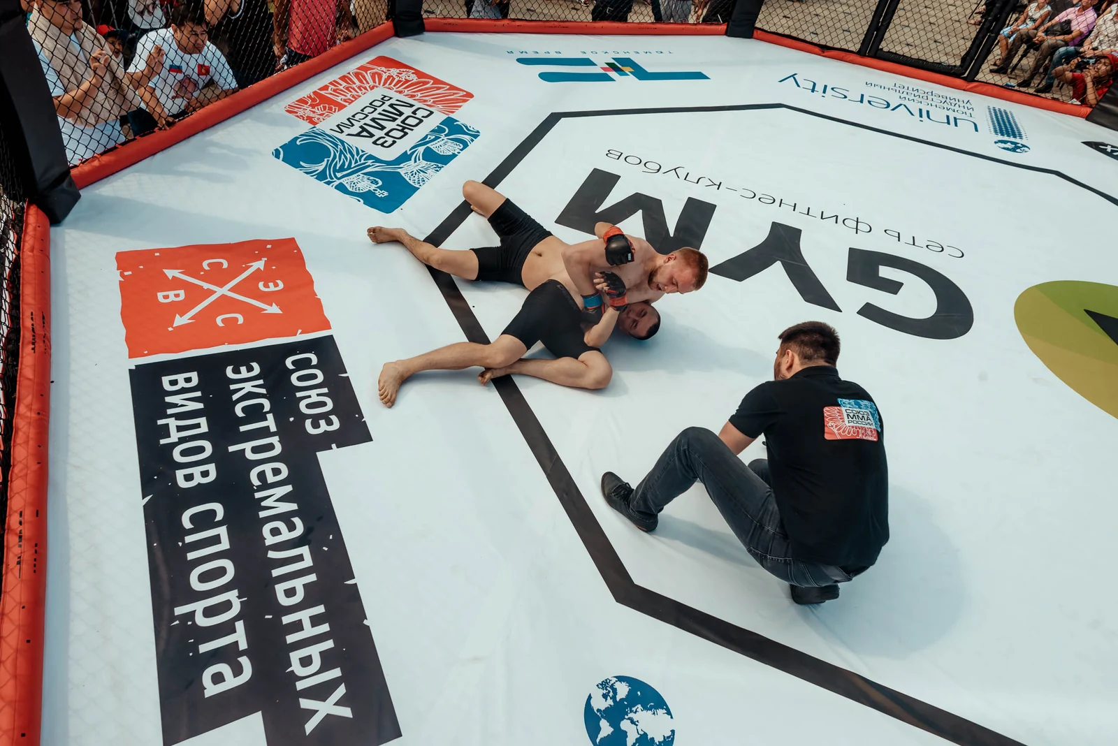 Fighters on the mat inside the cage, top view